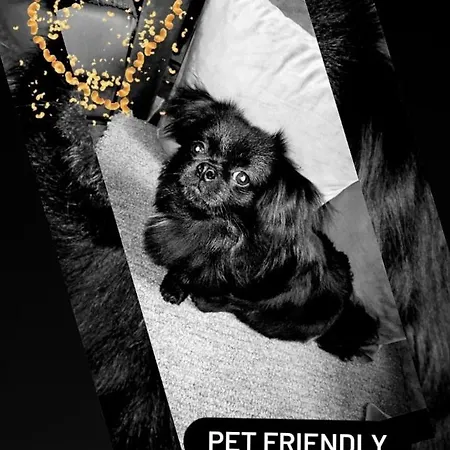 Dan I Noc * Divčibare