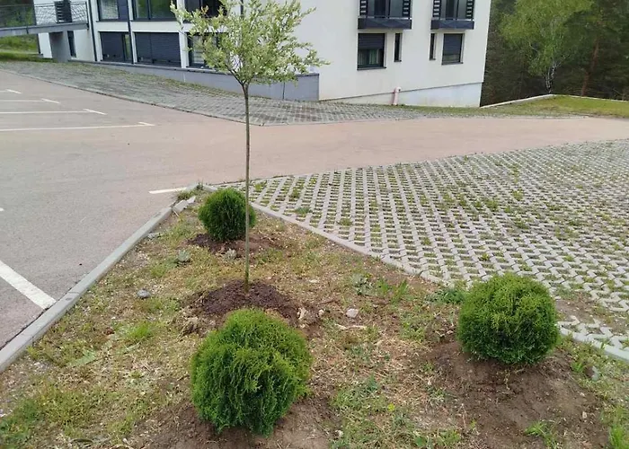 Dan I Noc 아파트 Divčibare